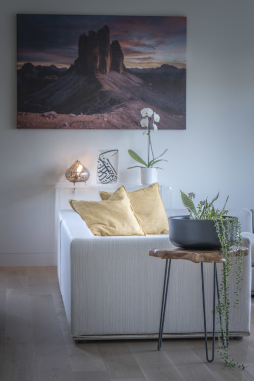 Modern living room with plants and photo prints